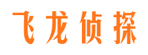 镜湖侦探